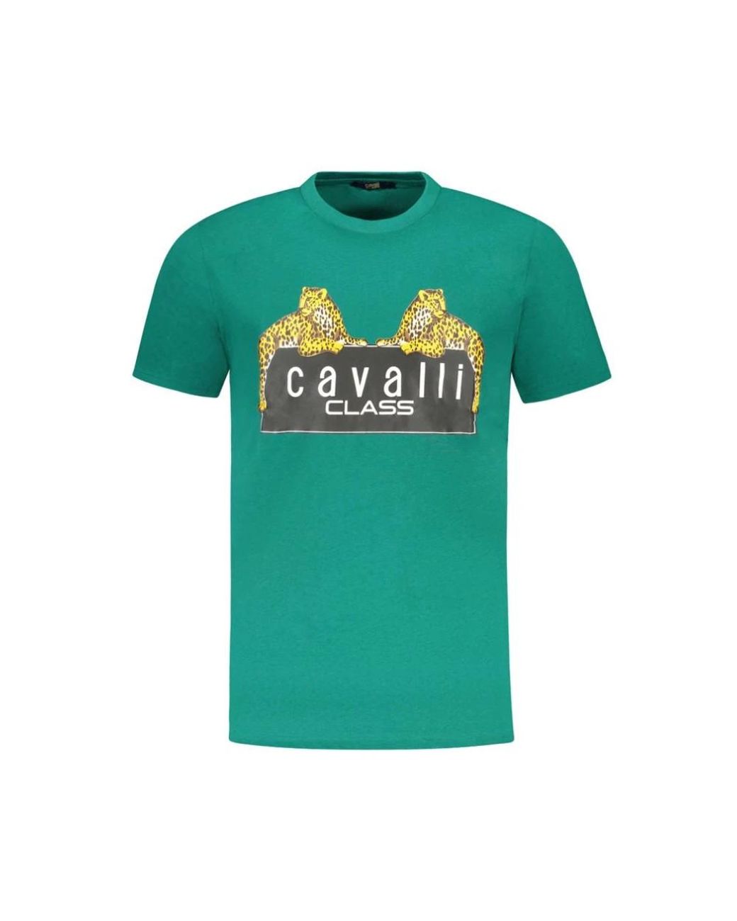 Roberto Cavalli T-Shirts in het Green voor heren