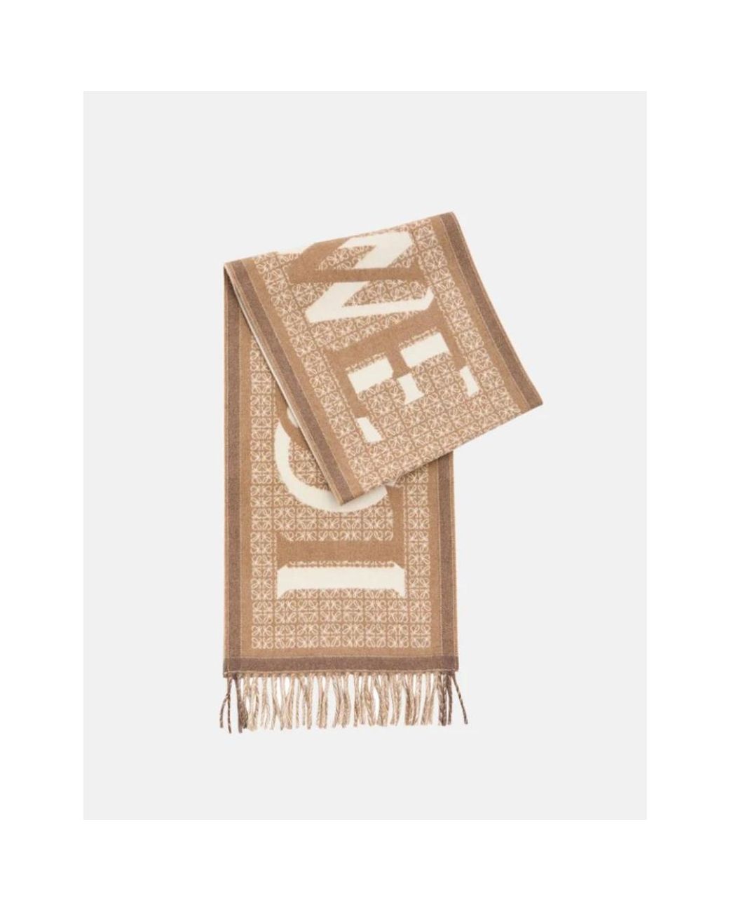 Loewe Natural Winter Scarves