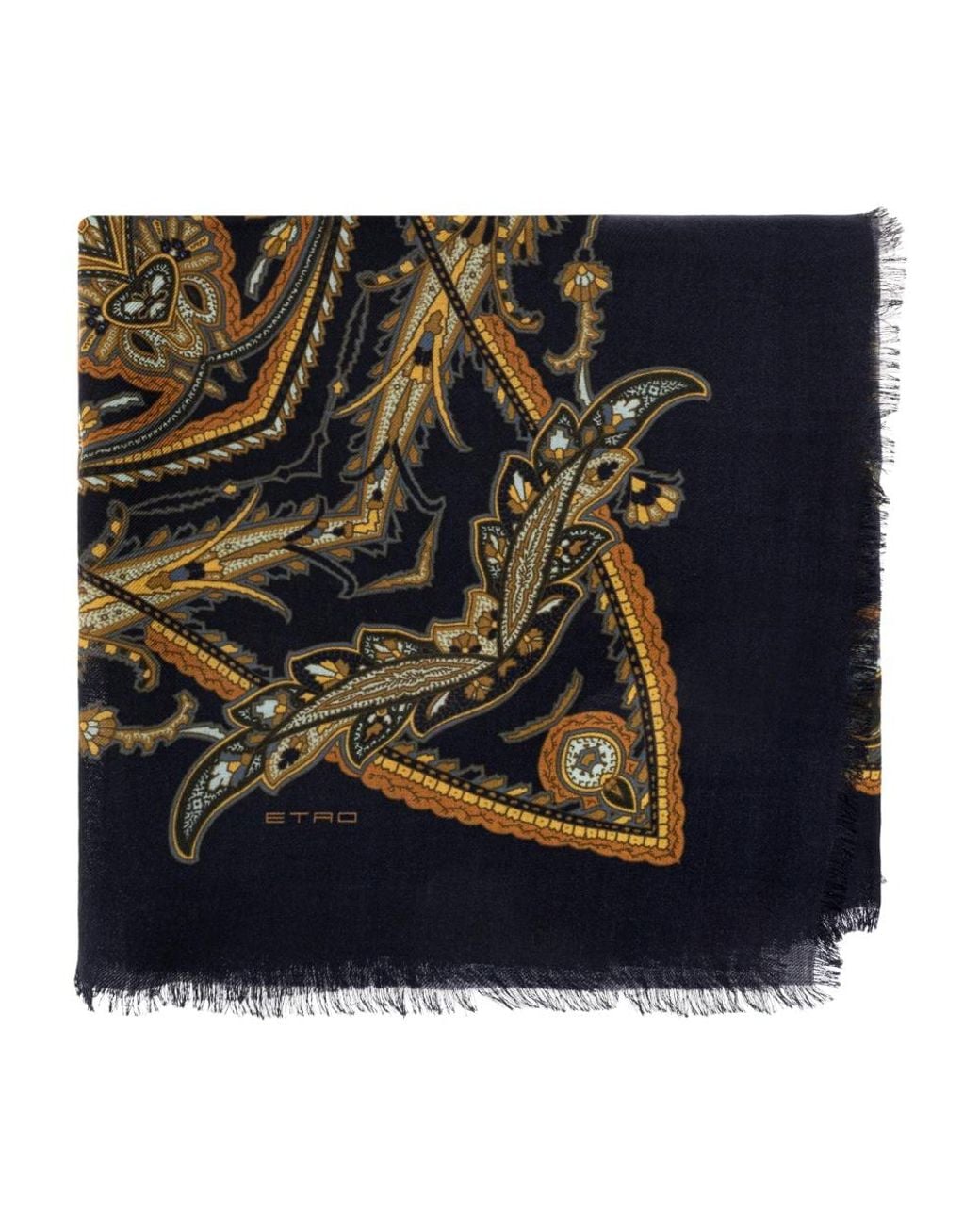 Scarves di Etro in Blue