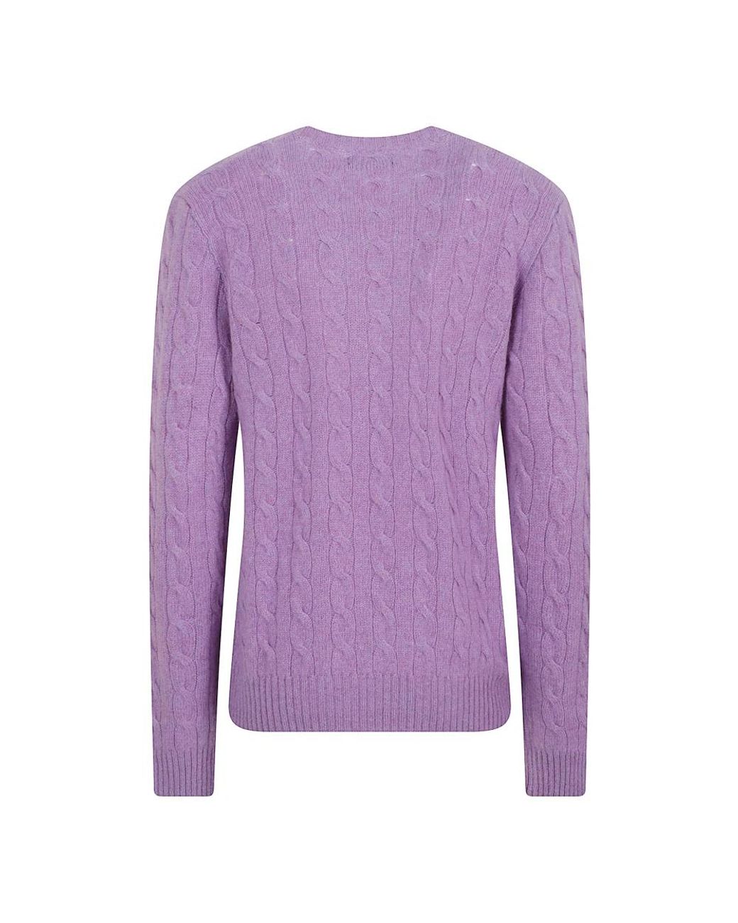 Ralph Lauren Purple Round-Neck Knitwear