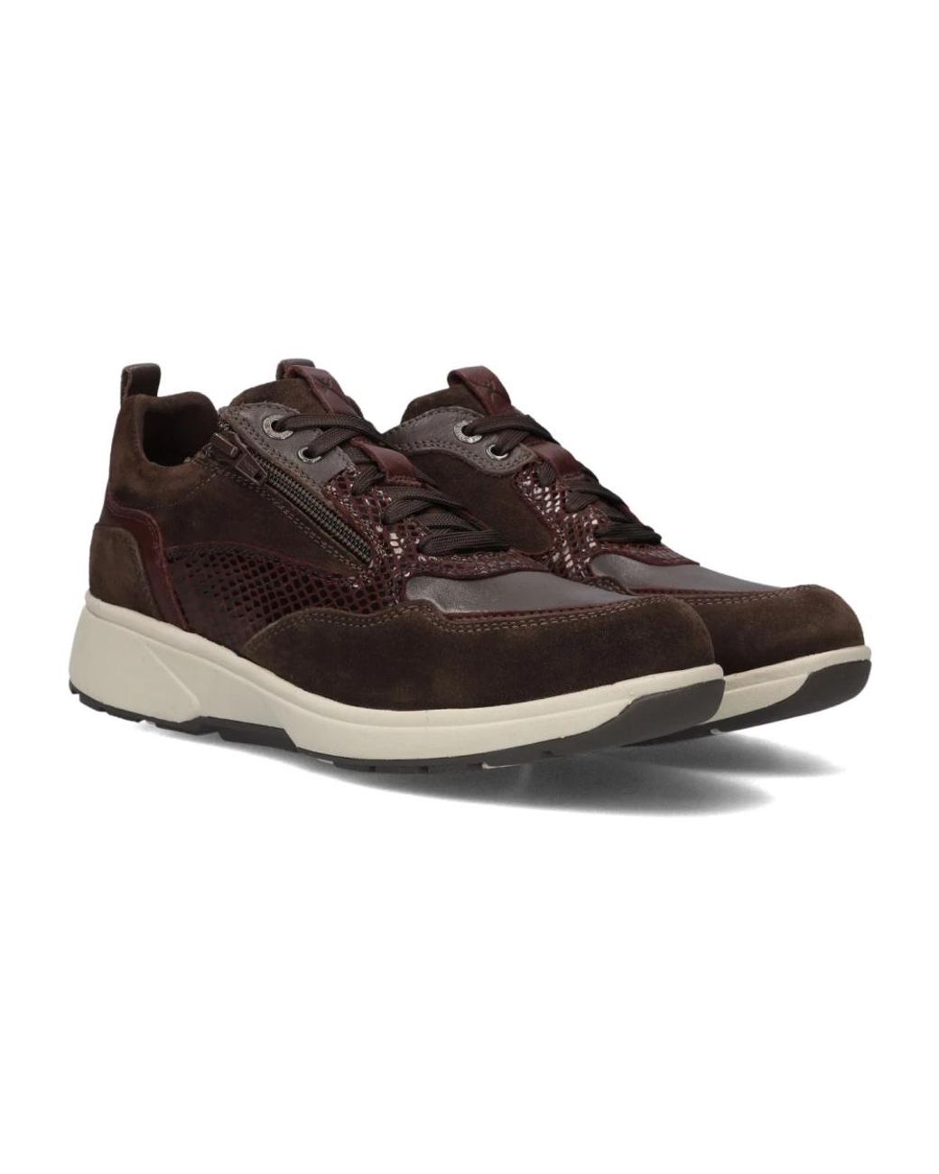 Sneakers Xsensible en coloris Brown