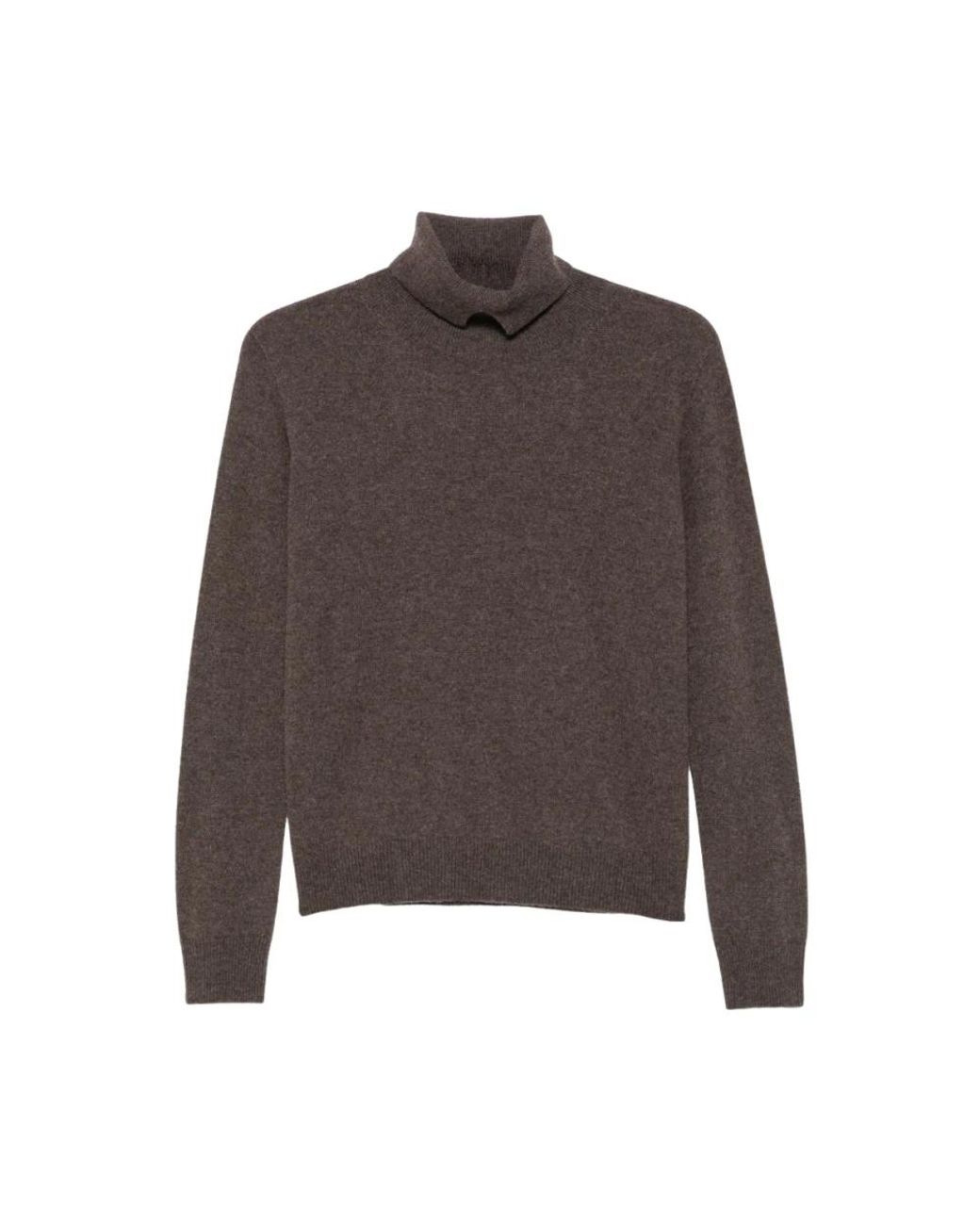 Vanisé Brown Turtlenecks