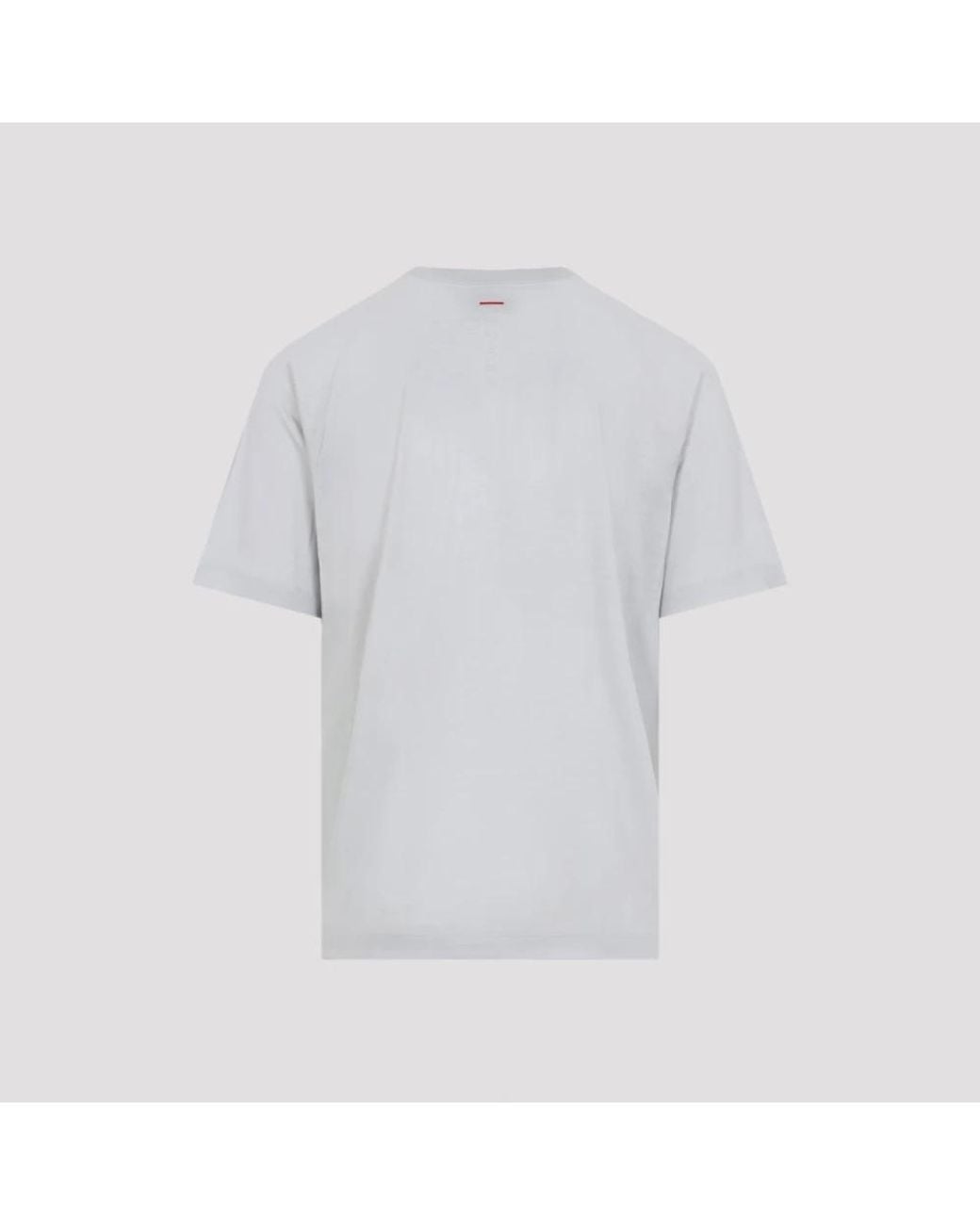 Sease Gray T-Shirts for men