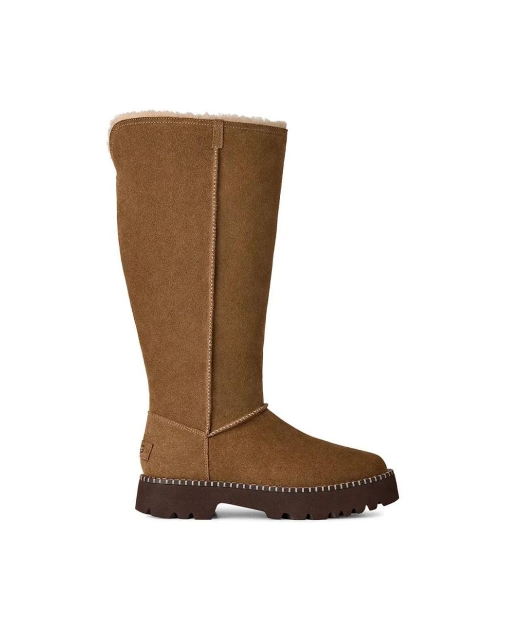 Winter Boots Ugg en coloris Brown