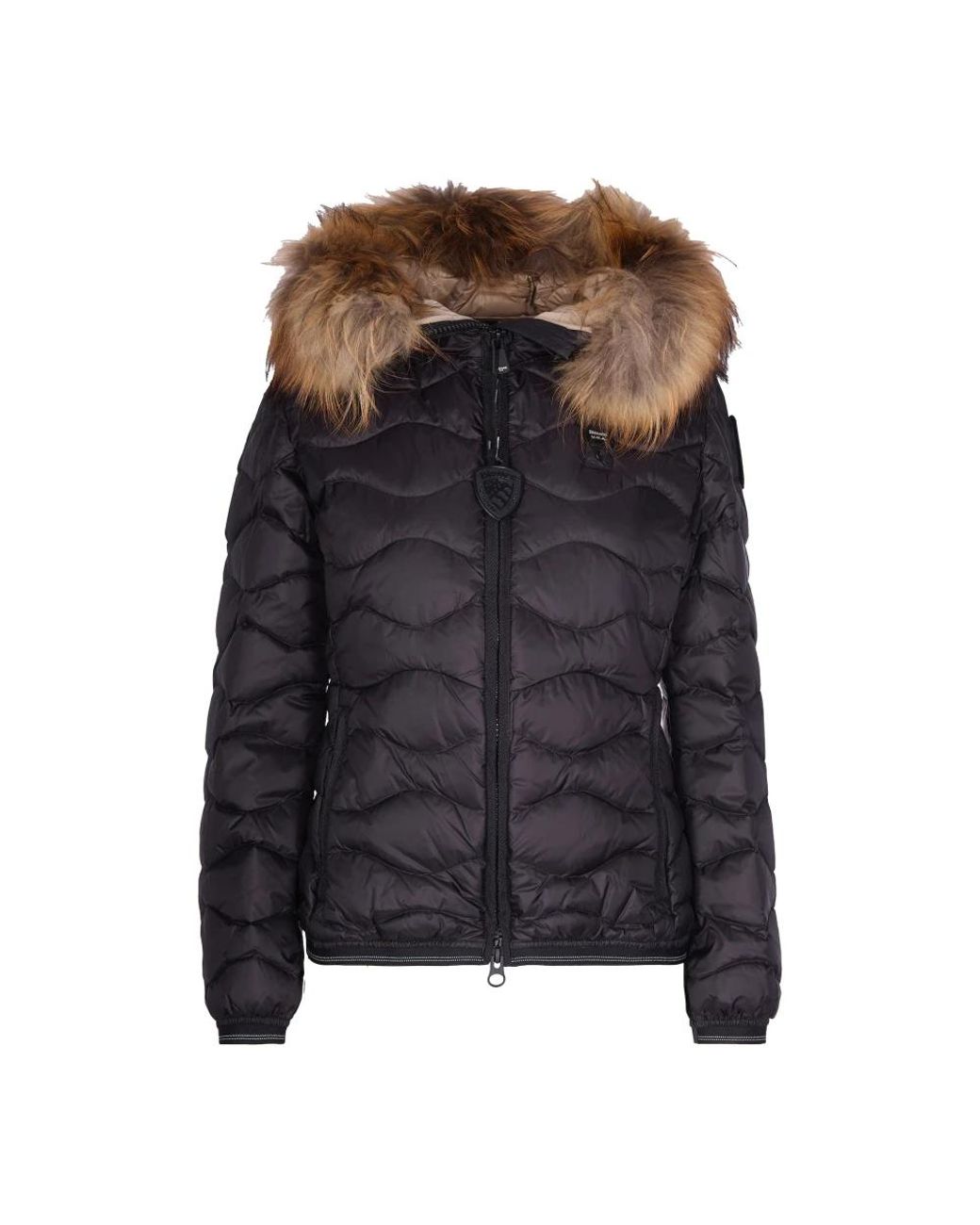 Blauer Black Down Jackets
