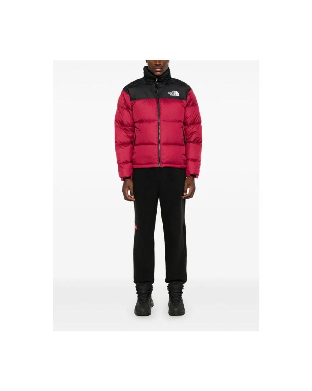 Winter Jackets The North Face de hombre de color Red