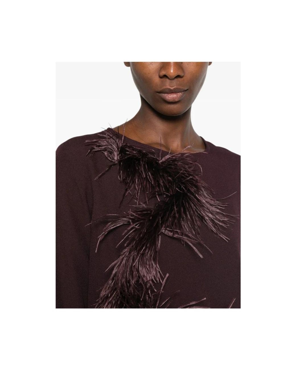 Antonelli Brown Blouses