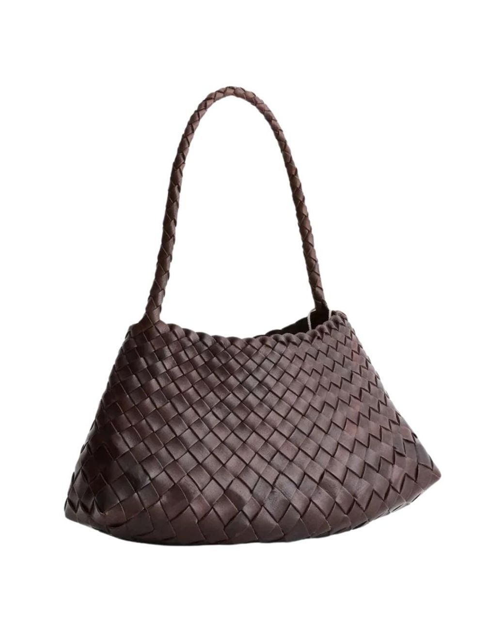 Handbags di Dragon Diffusion in Brown
