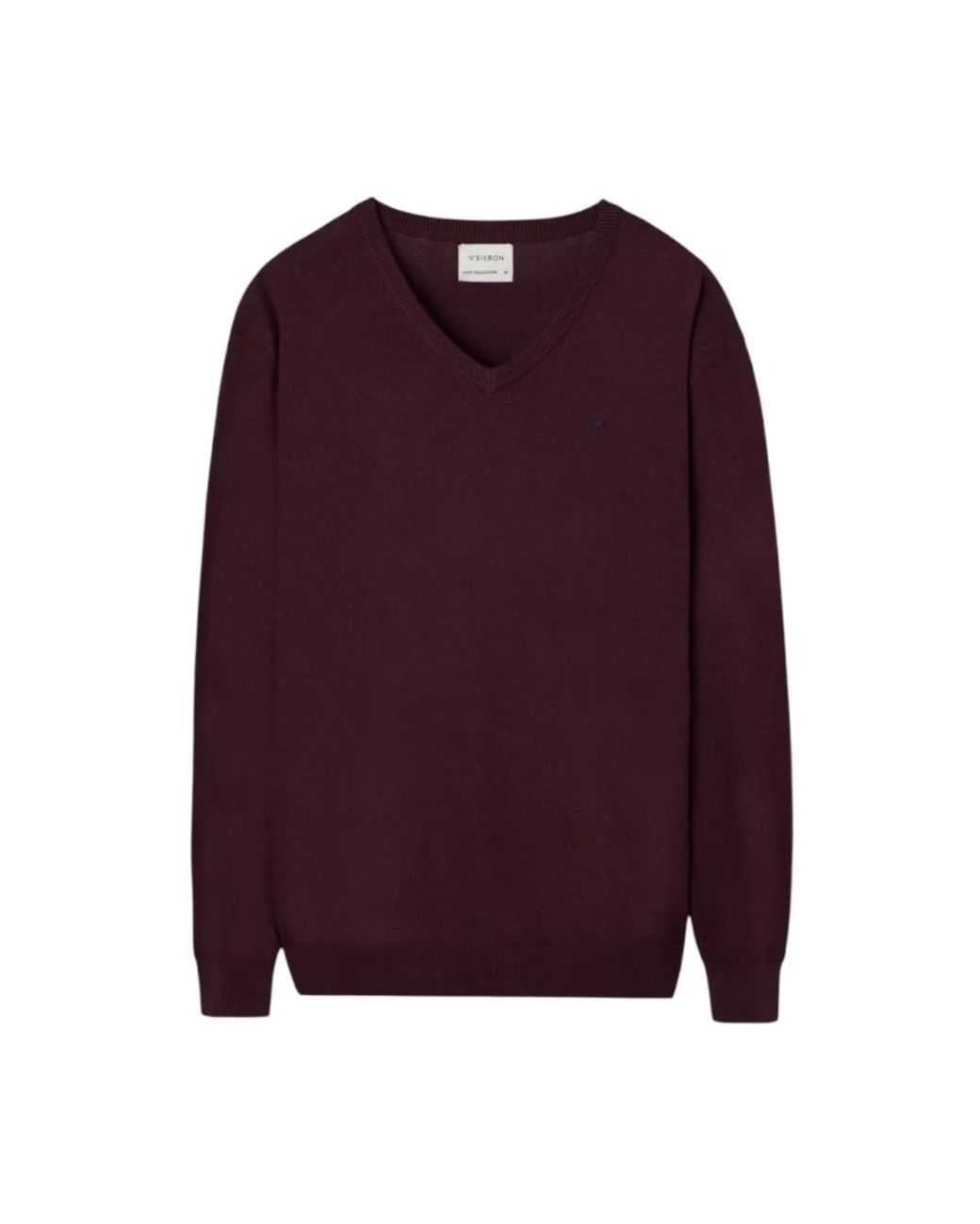 Silbon Purple V-Neck Knitwear for men