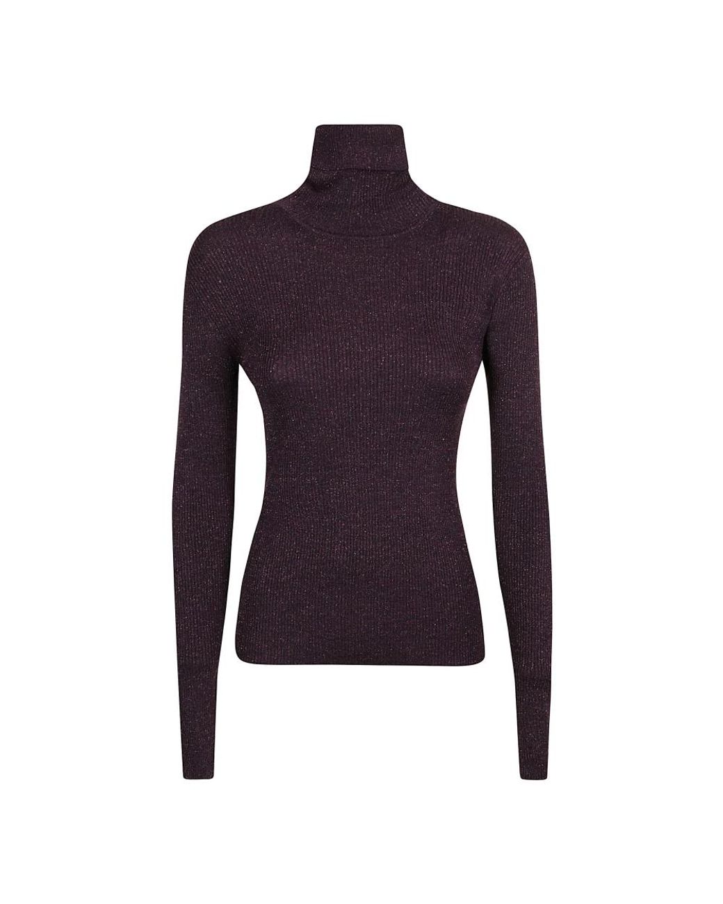 P.A.R.O.S.H. Truien & Vesten ,Zwart ,Wol Turtleneck in het Purple