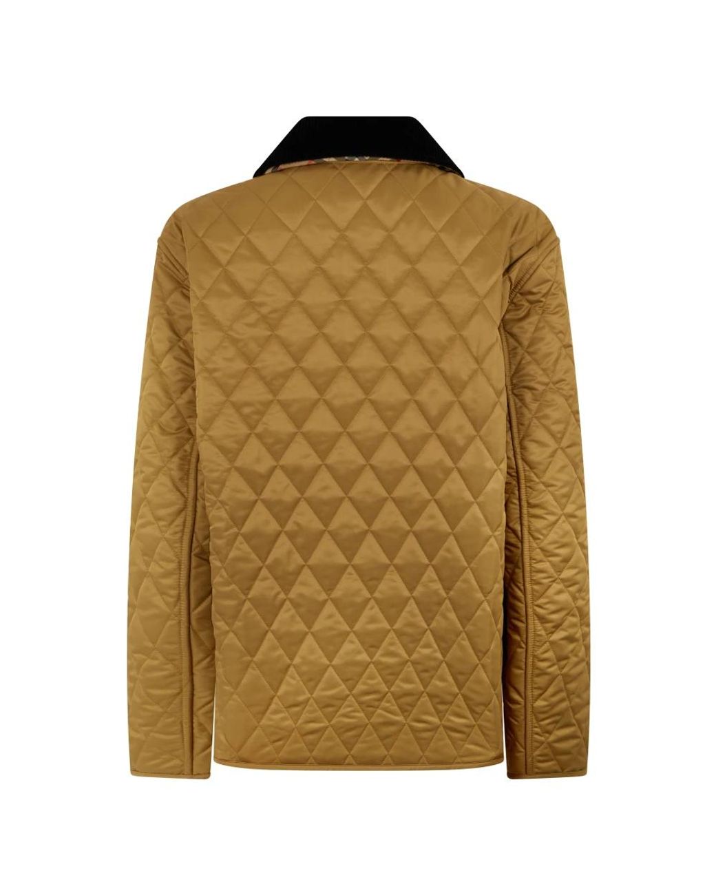 Winter Jackets Burberry en coloris Brown