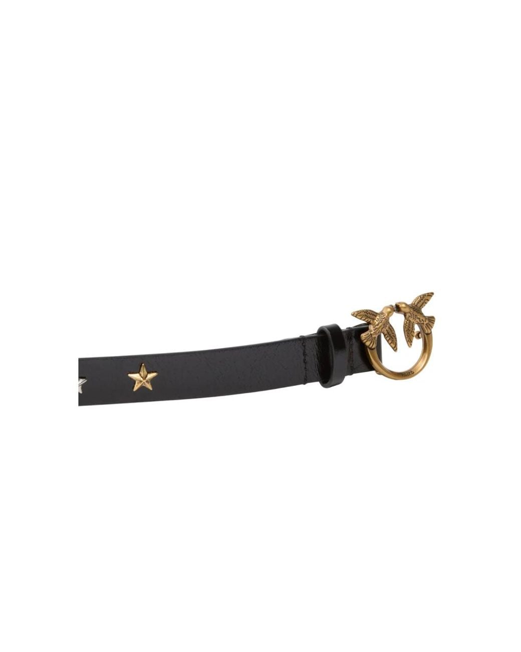 Pinko Black Belts