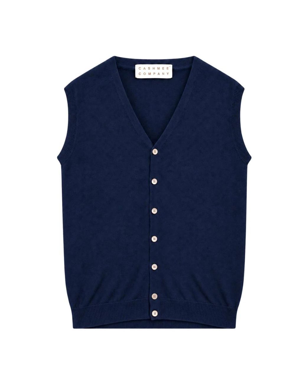 Cashmere Company Blue V-Neck Knitwear for men
