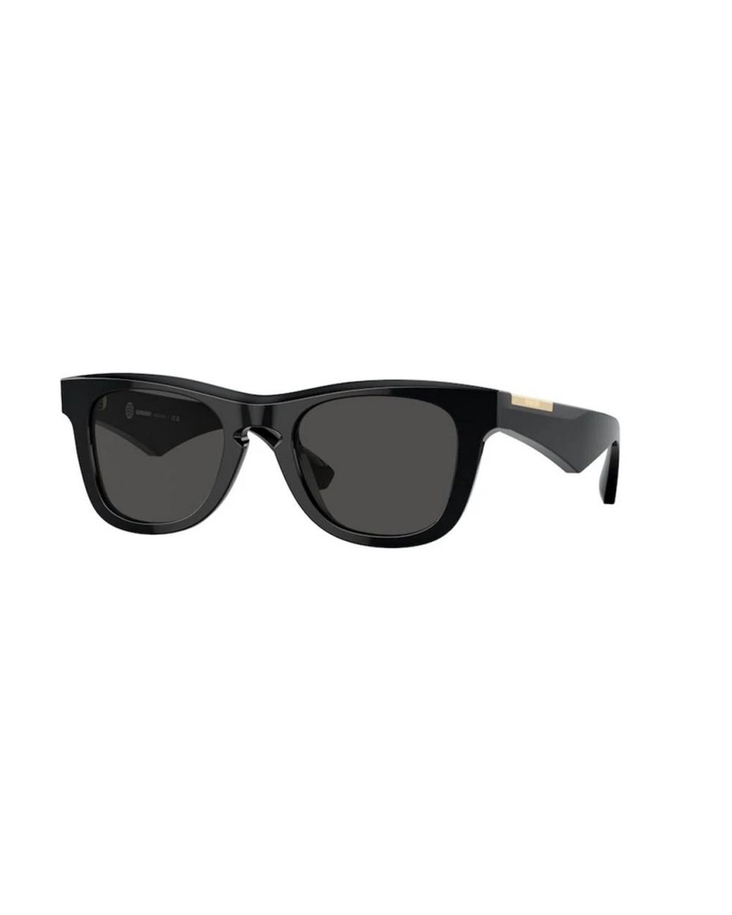 Burberry Black Sunglasses for men