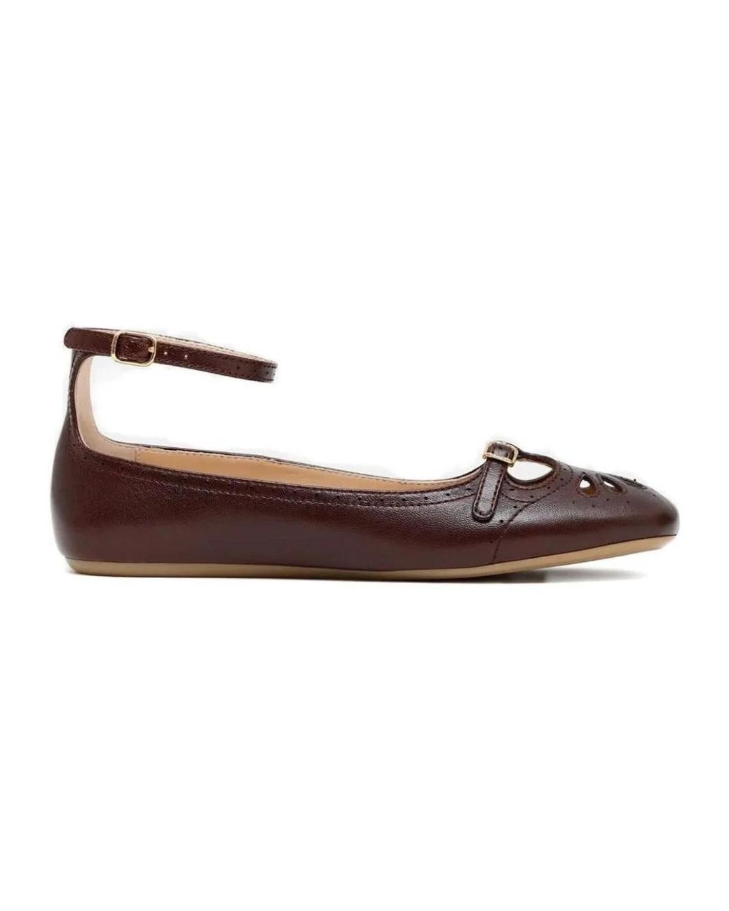 Chloé Brown Misty Ballerina Flat