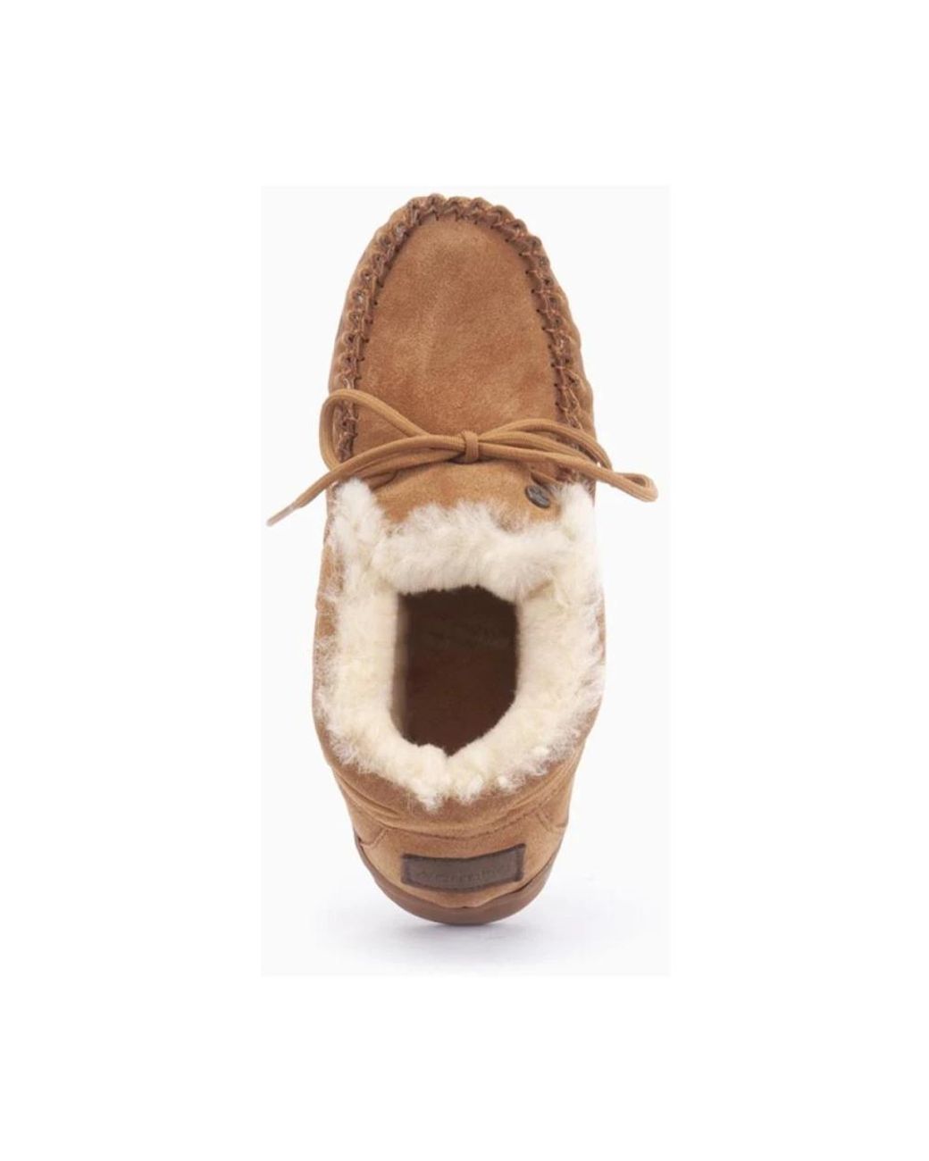 Warmbat Brown Bunya Loafer
