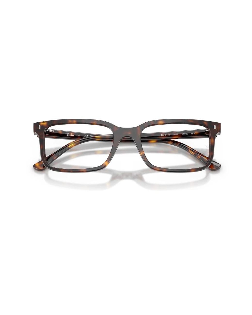 Ray-Ban Brown Glasses
