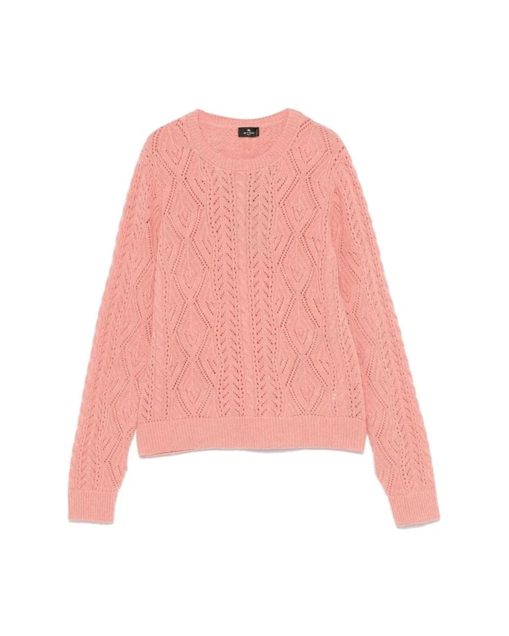 Etro Pink Round-Neck Knitwear