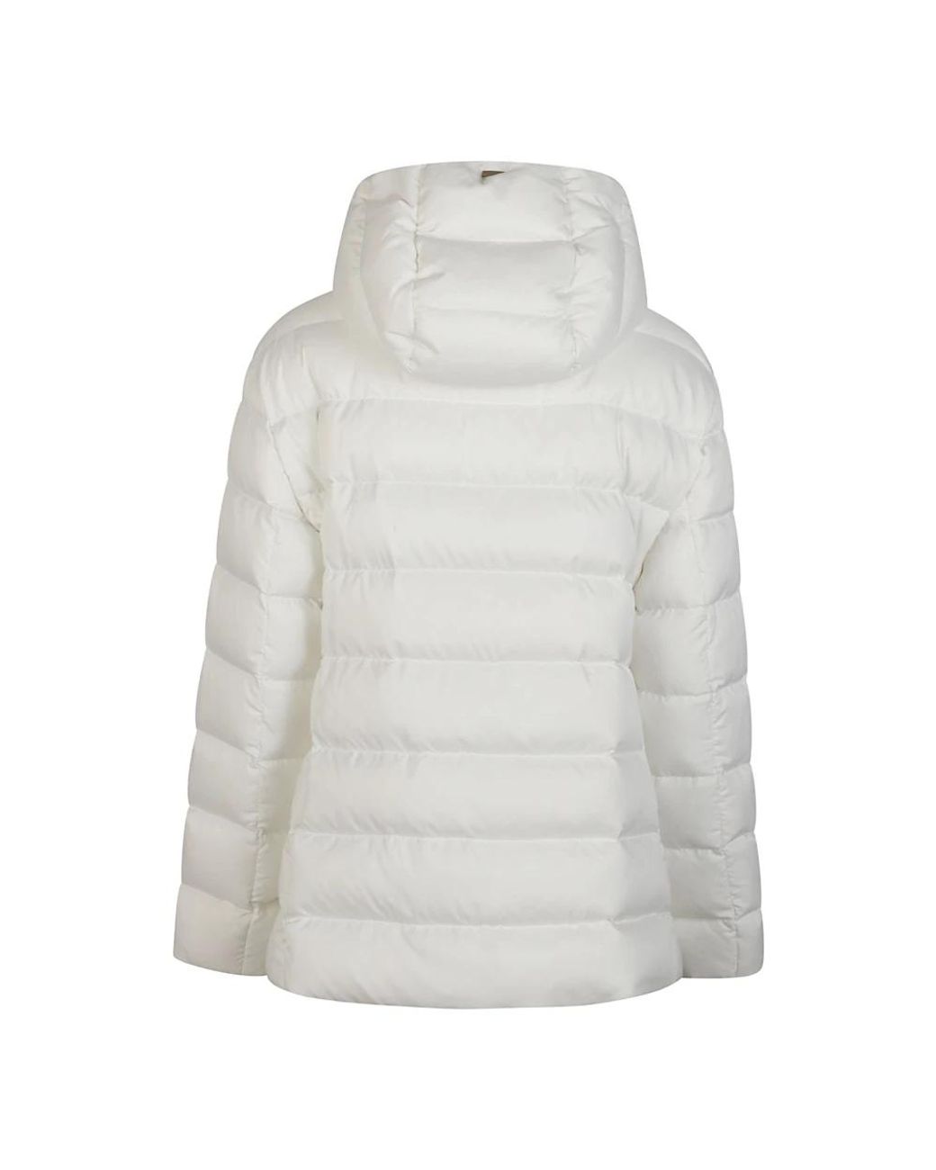 Winter Jackets Herno de color Gray