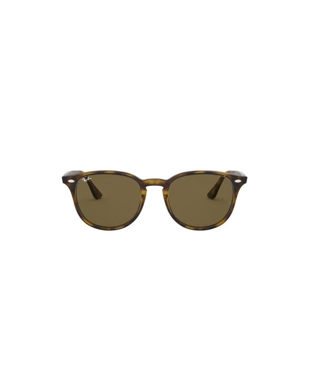 Ray-Ban Brown Sunglasses