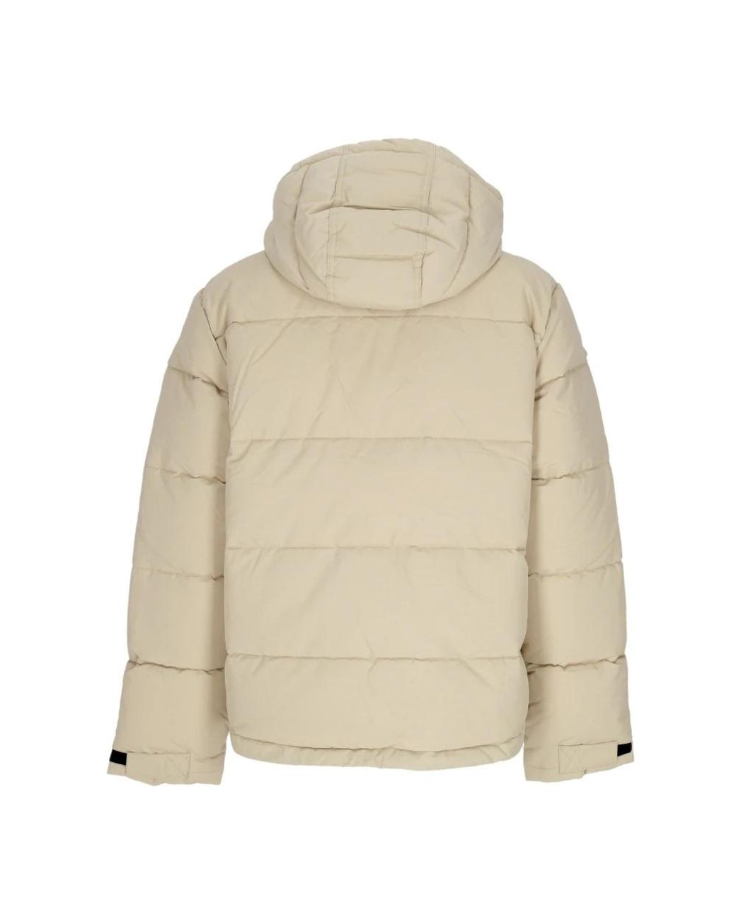 Winter Jackets di Dickies in Natural da Uomo