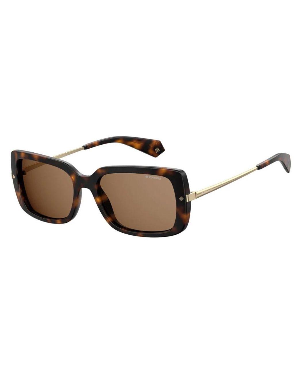 Polaroid Brown Sunglasses for men