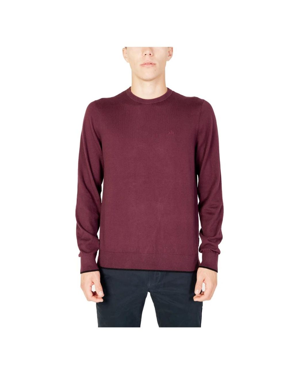 ARMANI EXCHANGE Purple Round-Neck Knitwear for men