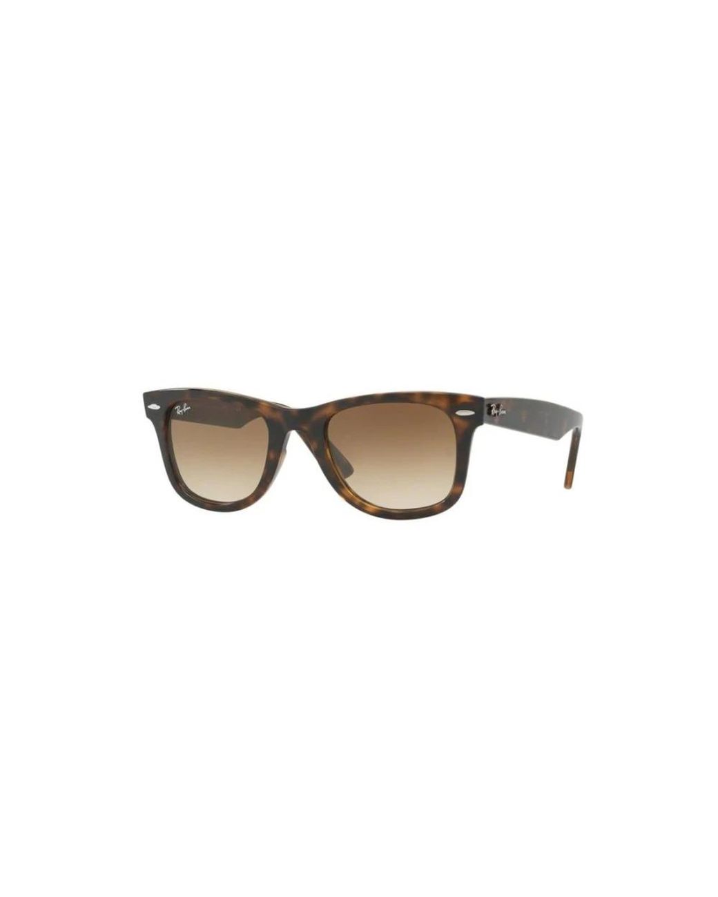 Ray-Ban Brown Sunglasses