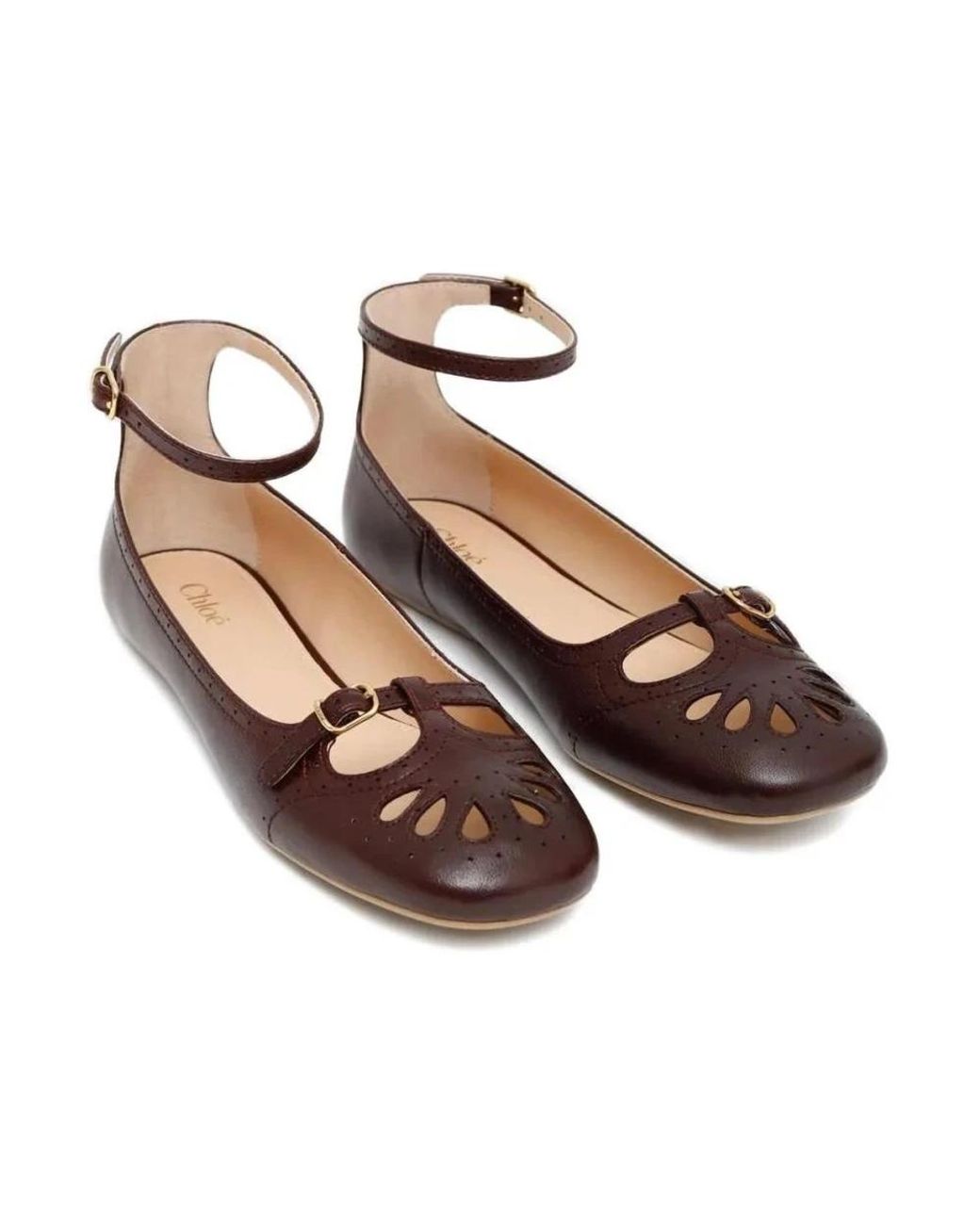 Chloé Brown Misty Ballerina Flat