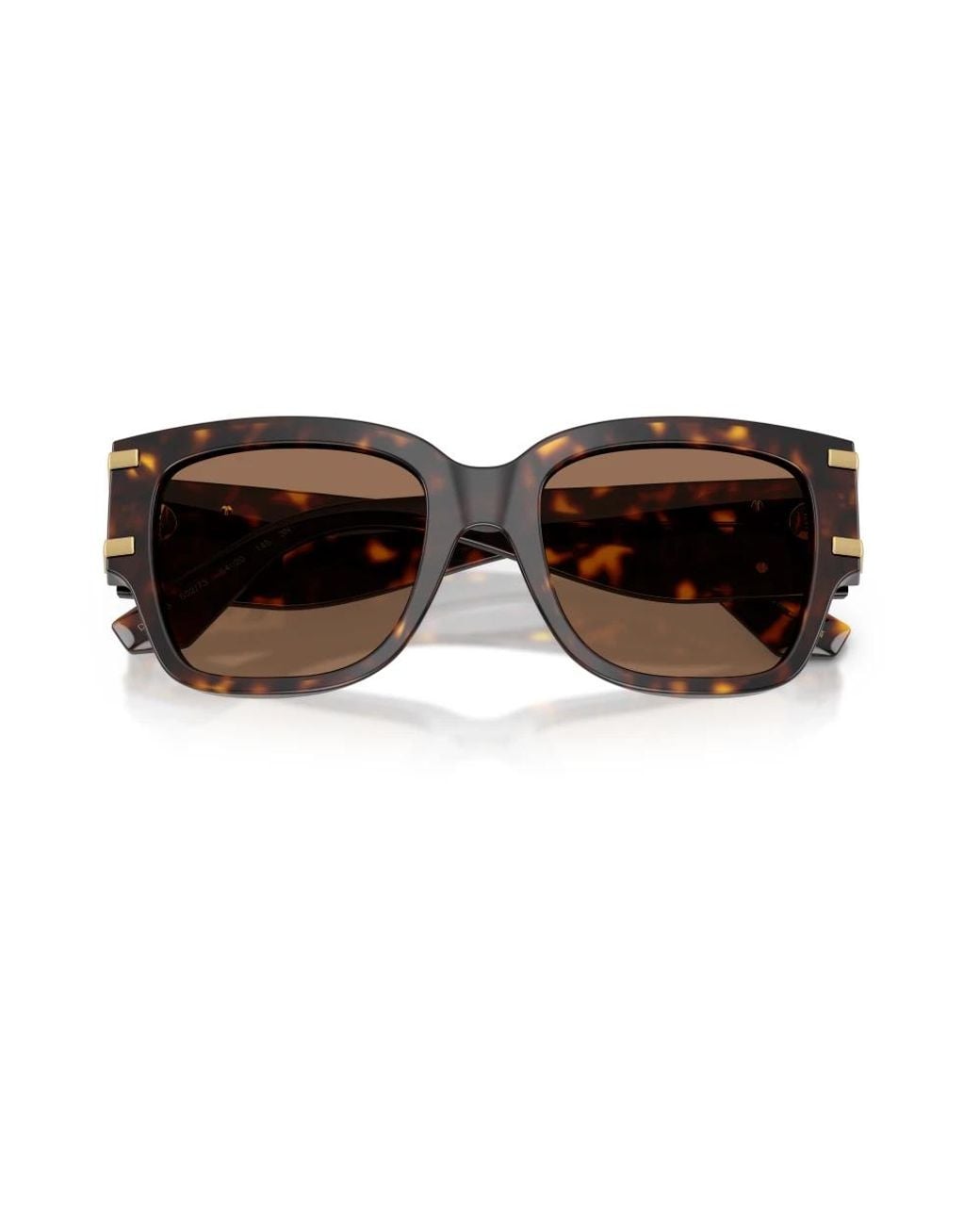 Dolce & Gabbana Brown Sunglasses