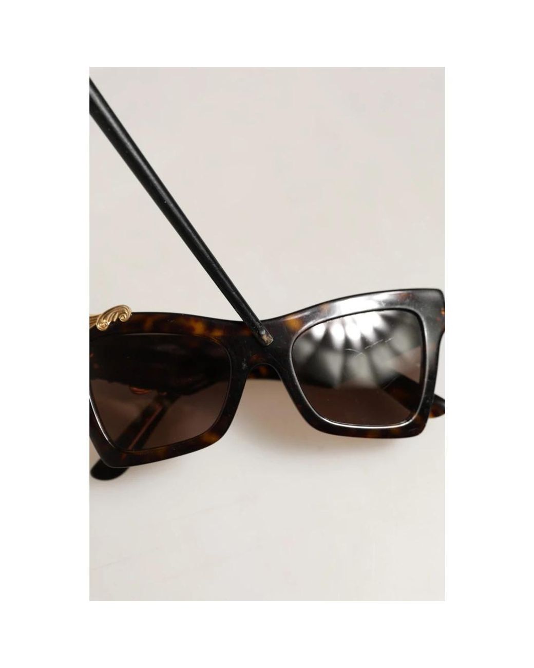 Dolce & Gabbana Brown Sunglasses