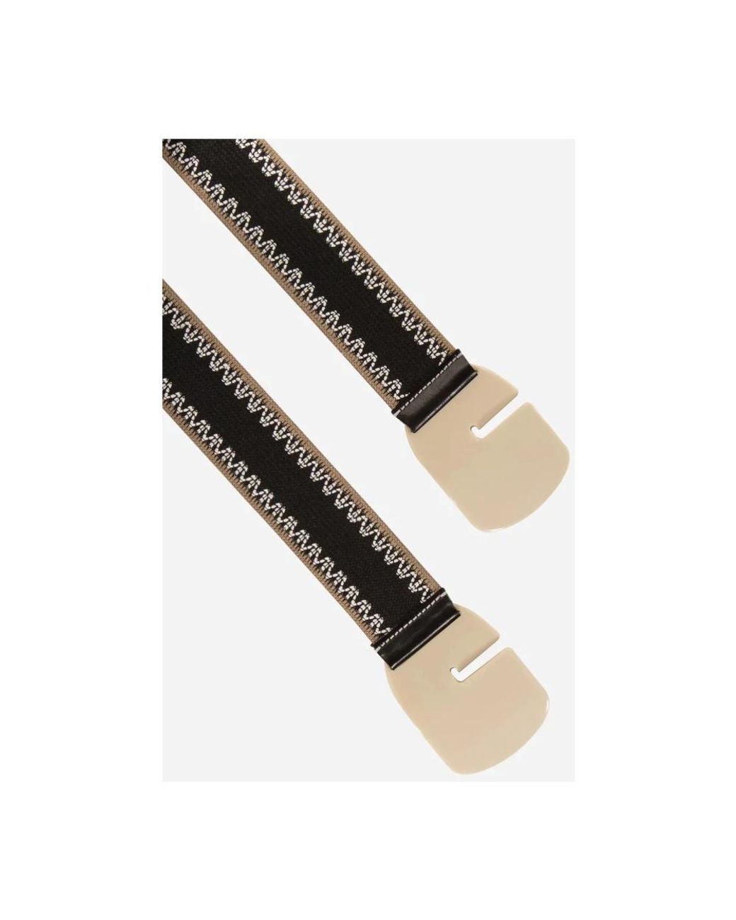 Gavazzeni Black Belts