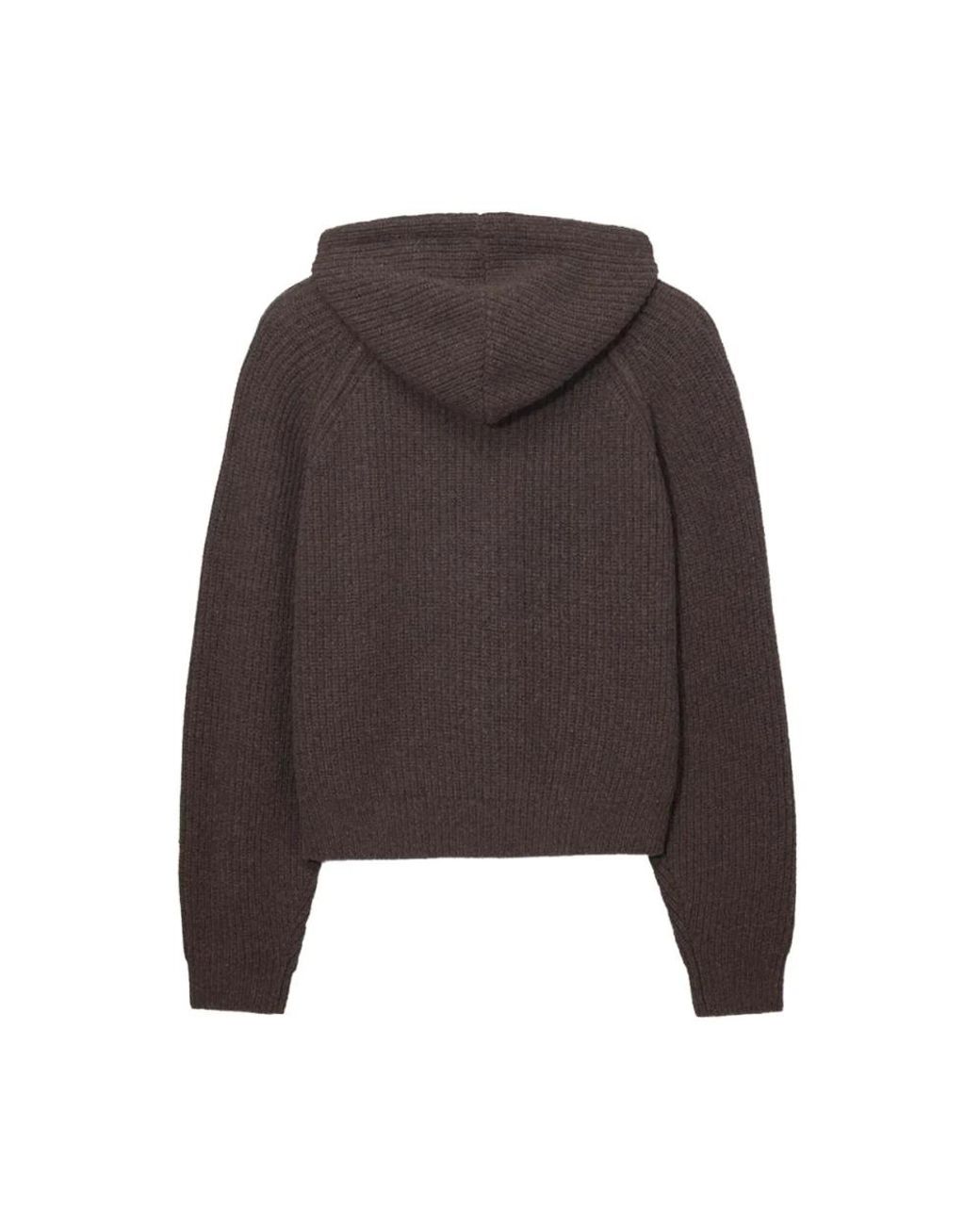 DUNST Brown Hoodies for men