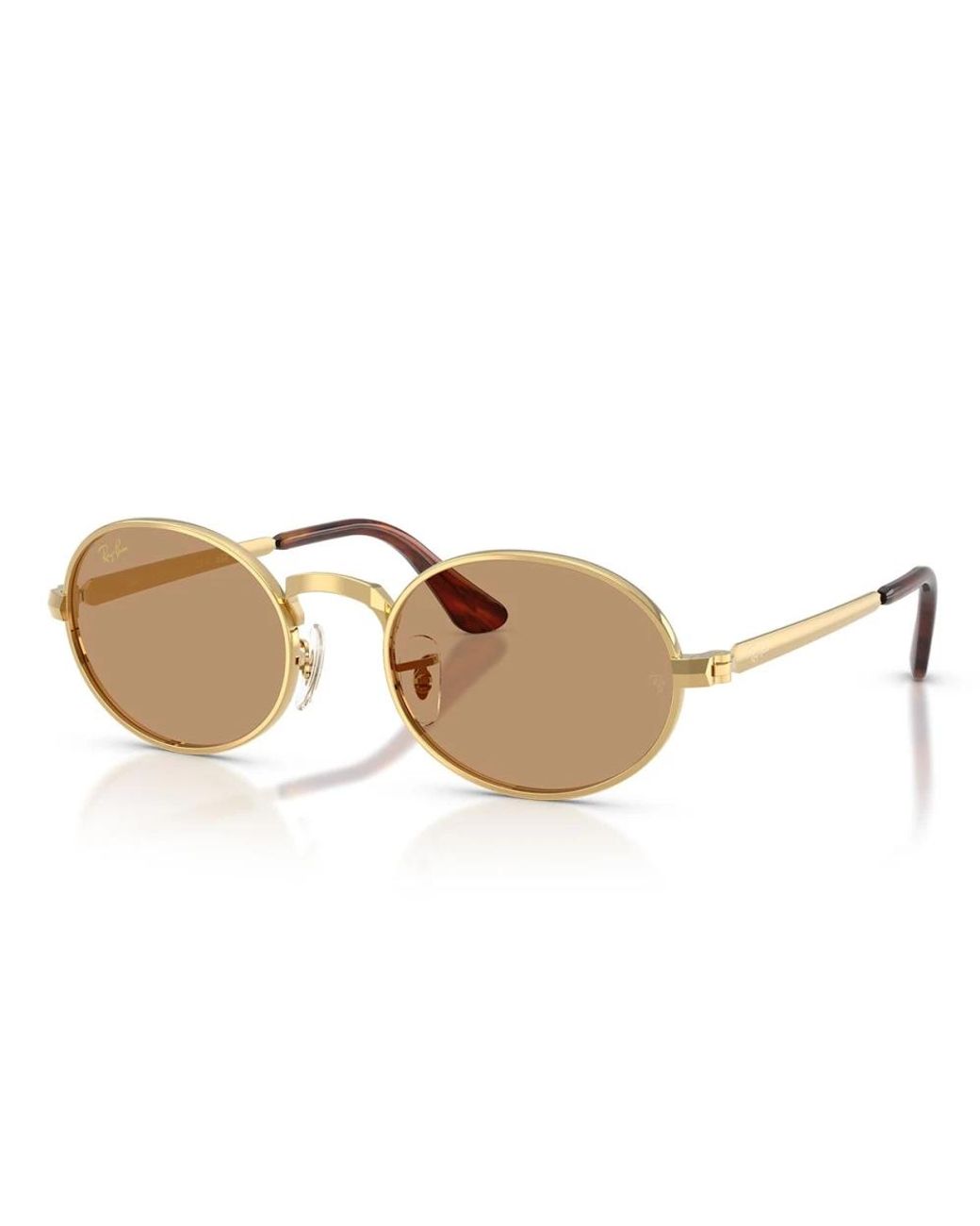 Ray-Ban Brown Sunglasses