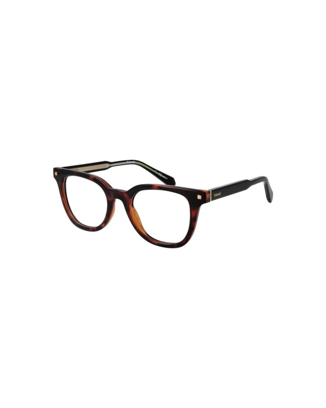 Polaroid Black Klassische Brille
