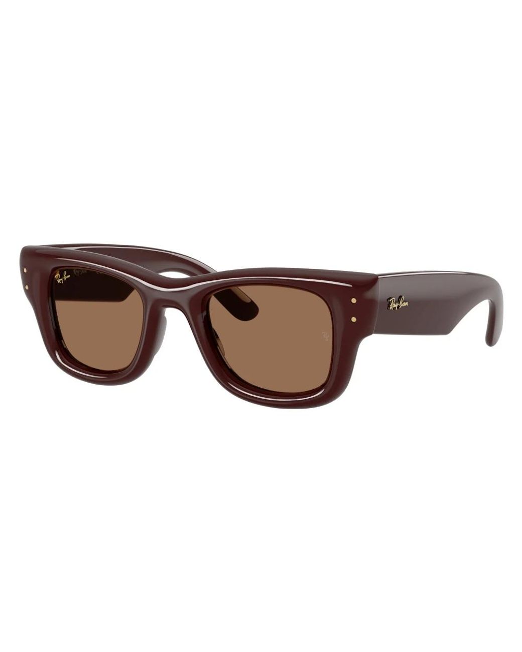 Ray-Ban Brown Sunglasses