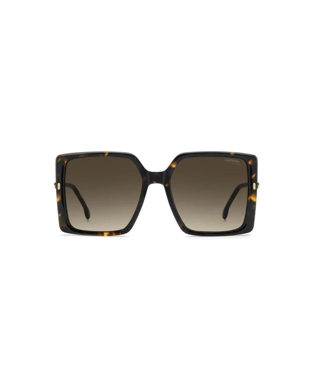 Carrera Brown 3070/S Sonnenbrille