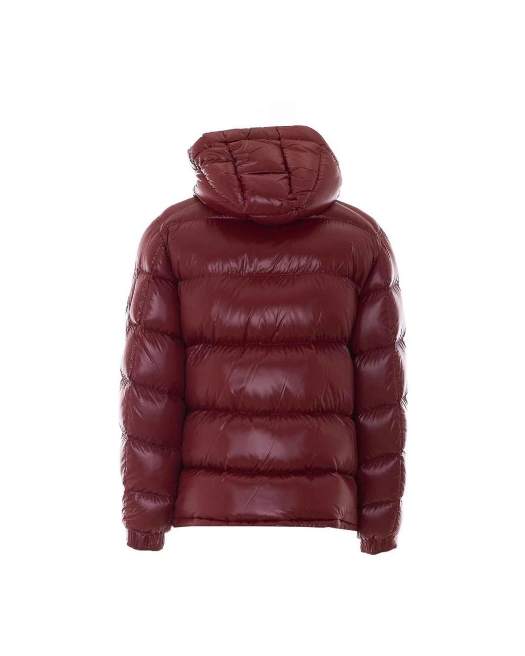 Down Jackets Herno de hombre de color Red