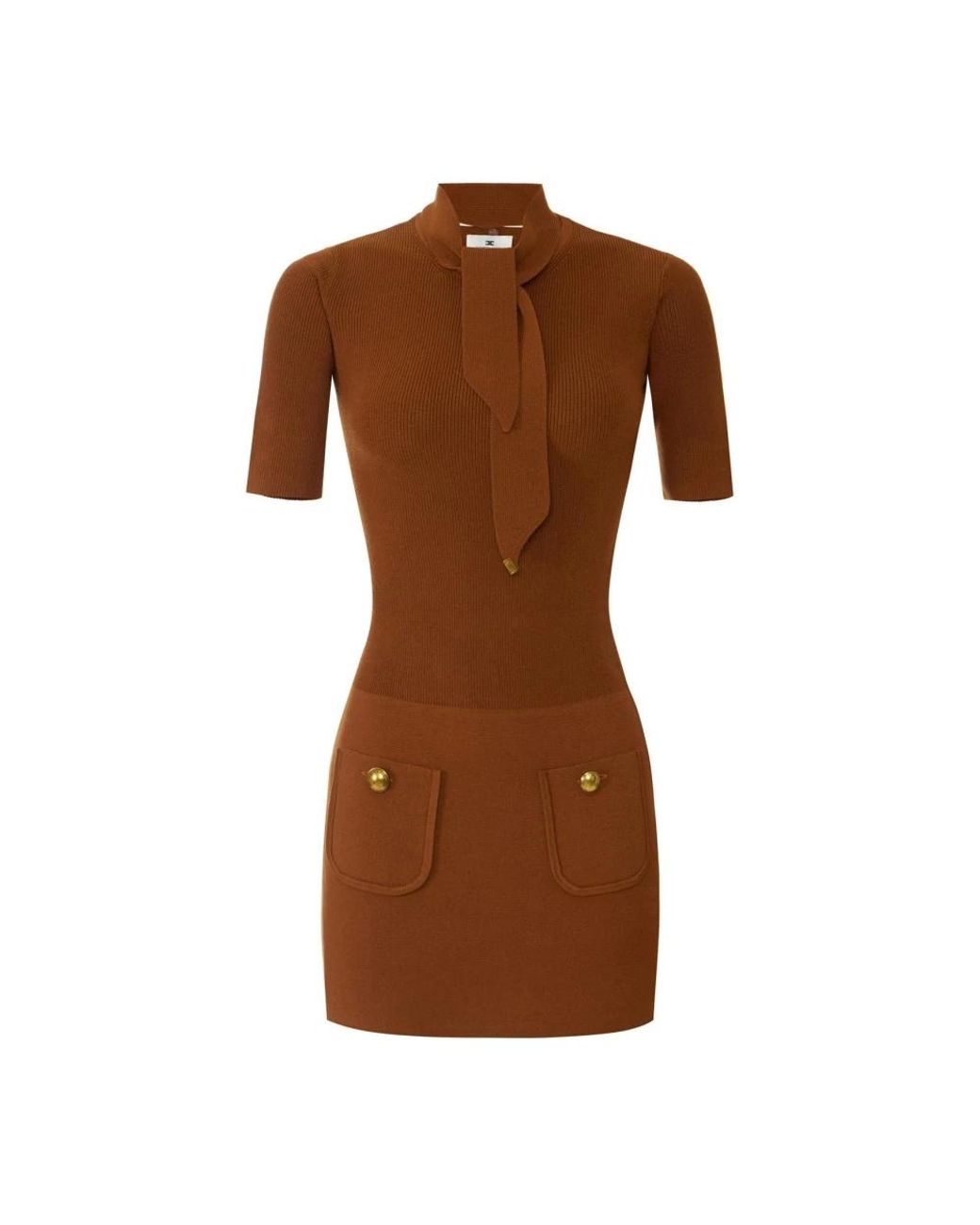 Elisabetta Franchi Brown Knitted Dresses