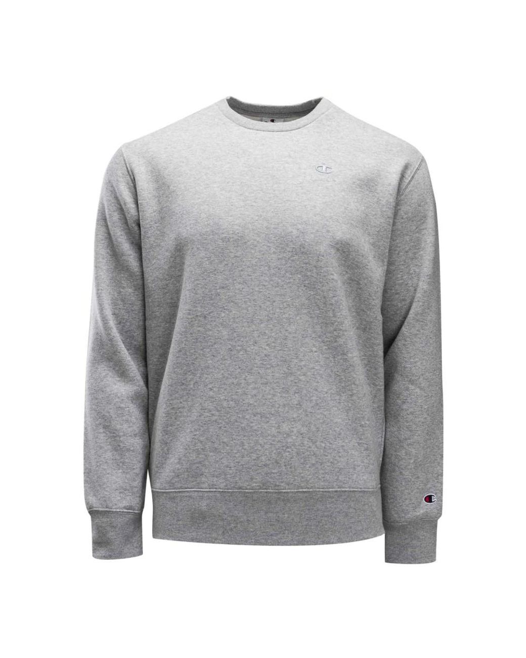 Champion Hoodie in het Gray voor heren