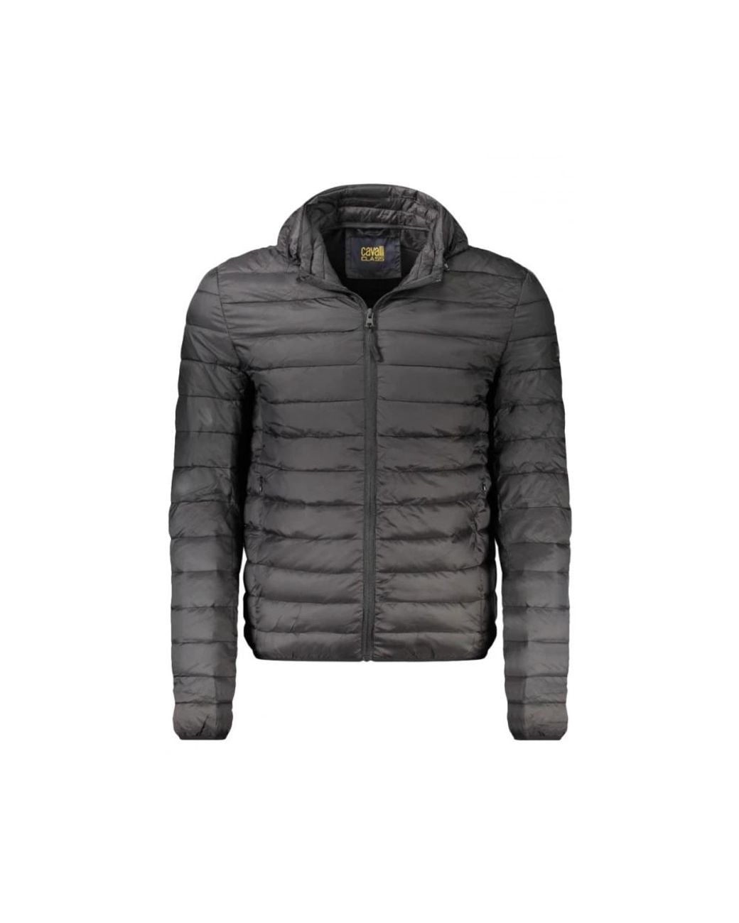 Winter Jackets di Roberto Cavalli in Gray da Uomo