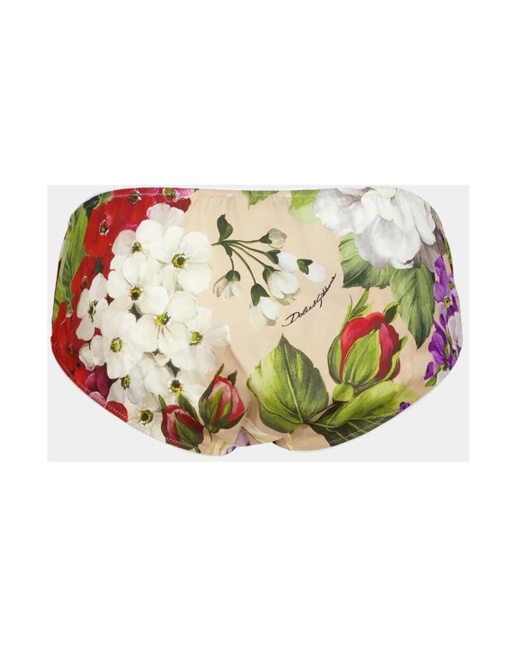 Dolce & Gabbana Multicolor Underpants