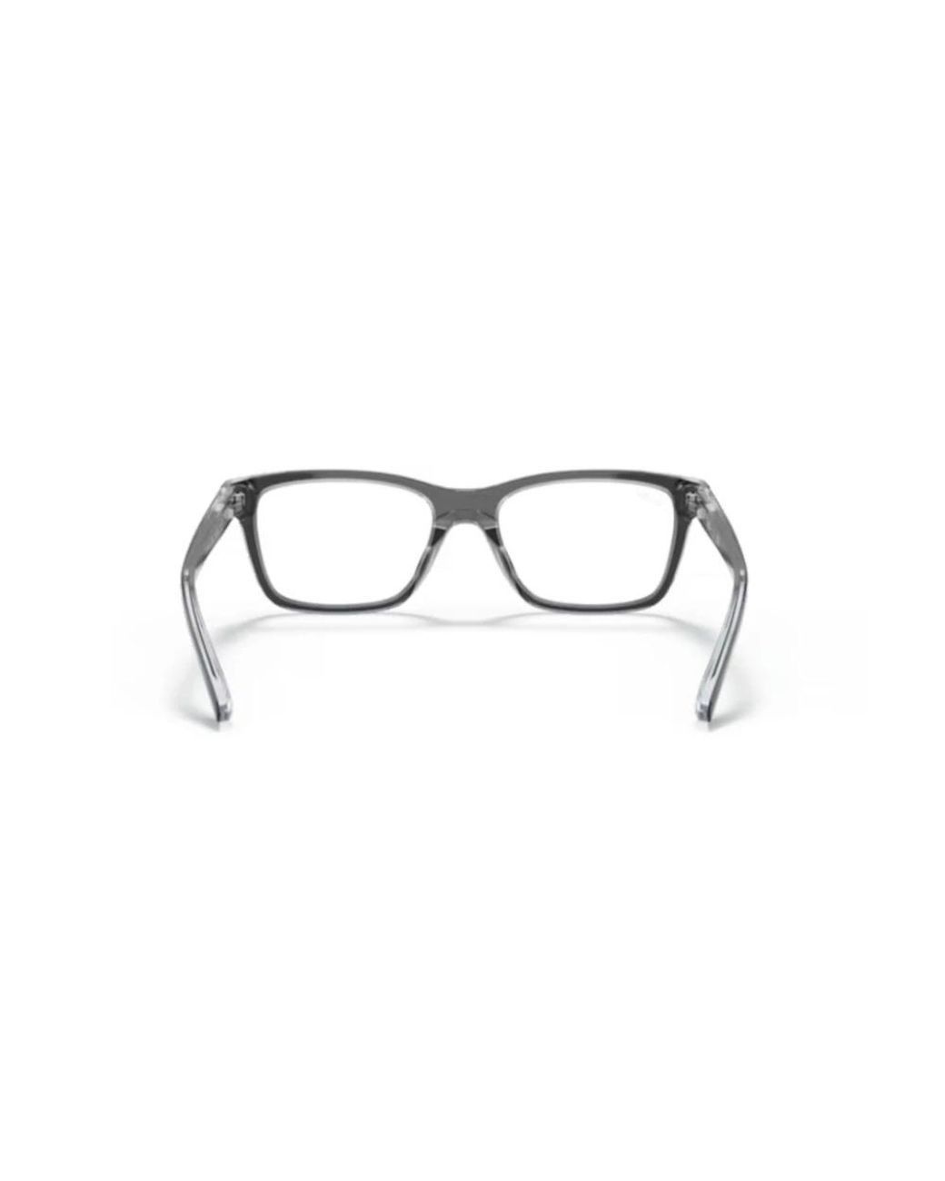 Ray-Ban Brown Glasses