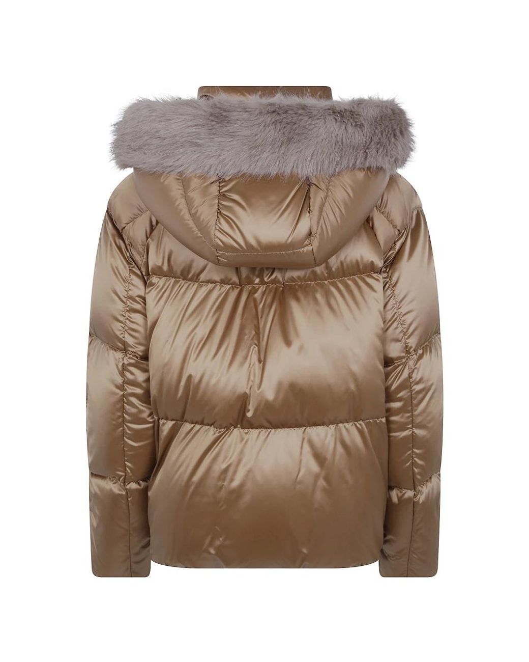 Winter Jackets Herno en coloris Brown