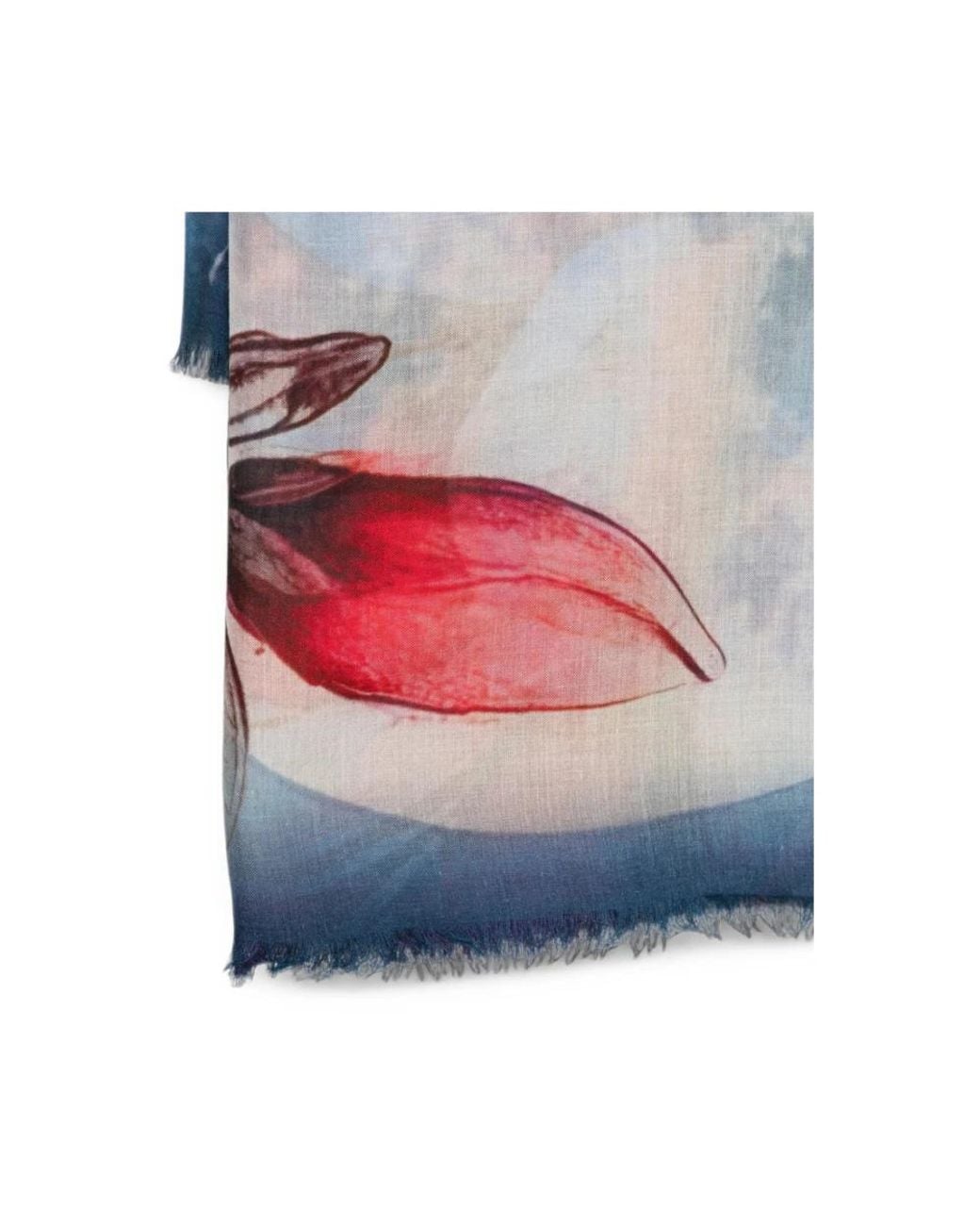 D'Aniello Blue Scarves