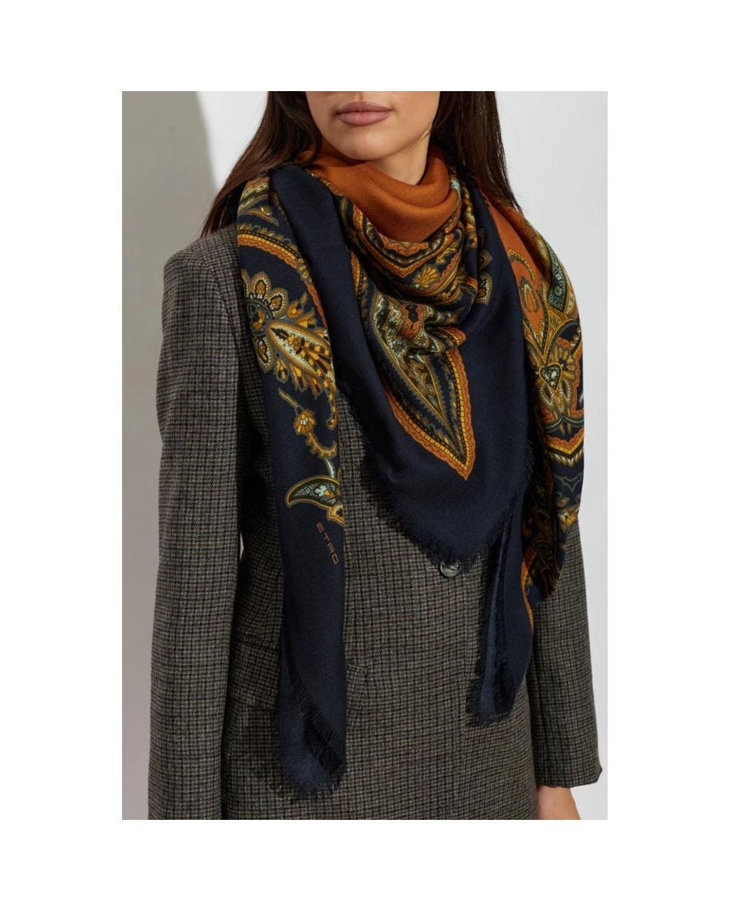 Scarves di Etro in Blue