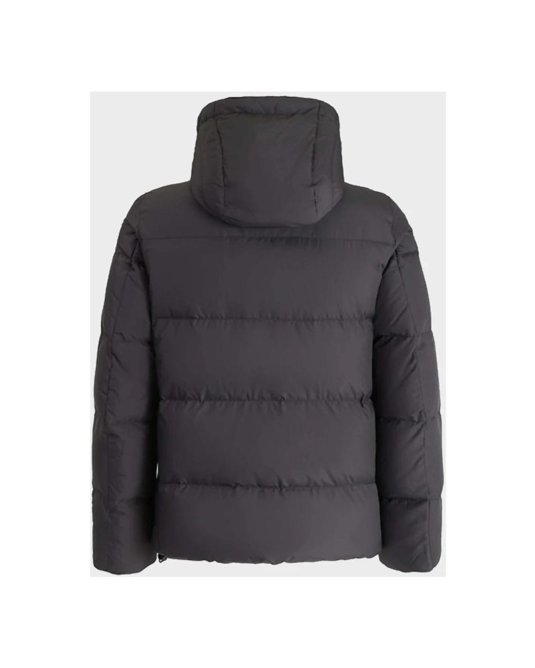 Down Jackets Montecore pour homme en coloris Black