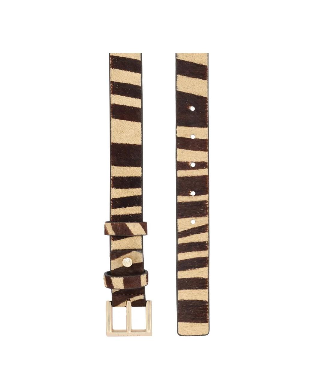 Belts di Kazar in Brown
