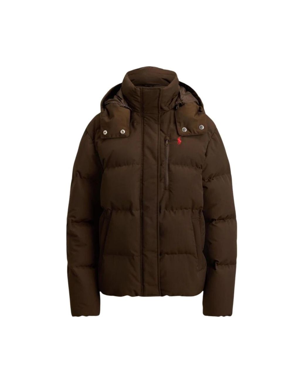Polo Ralph Lauren Brown Winter Jackets