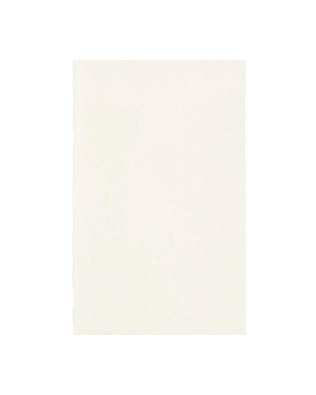 C.T.Plage White Winter Scarves
